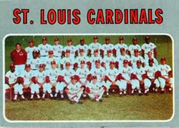 549 Cardinals Team
